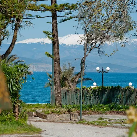 Amarylis 3* Elaionas (Achaia)