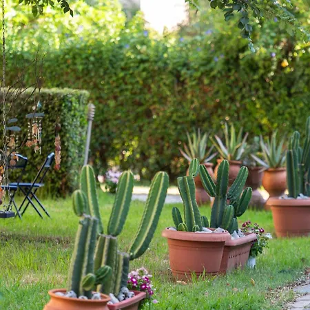 Hotel apartamentowy Amarylis Elaionas (Achaia)