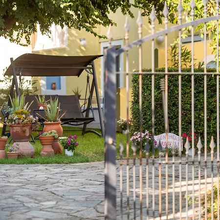 Amarylis Elaionas (Achaia)