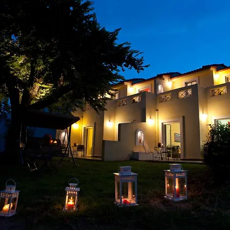 Amarylis Elaionas (Achaia)