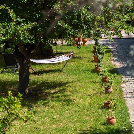 Amarylis 3* Elaionas (Achaia)