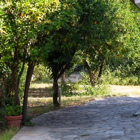 Amarylis Hotel apartamentowy