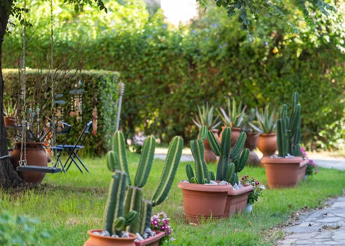 Apart-hotel Amarylis Elaionas (Achaia)