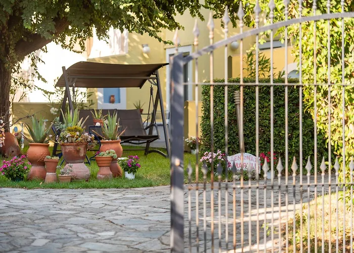 Amarylis Elaionas (Achaia)