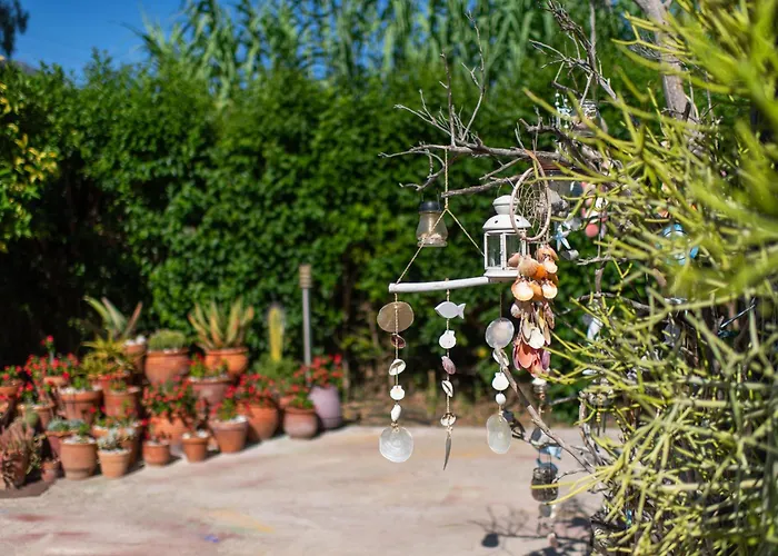 Amarylis Elaionas (Achaia)